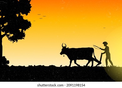 
Man Ploughing The Field Using Bulls. Farmer uses bull to plow land, agriculture crop cultivation rural India vector file