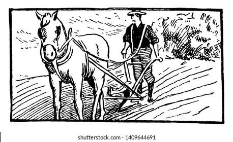 A man plowing a field with a horse and plow, vintage line drawing or engraving illustration