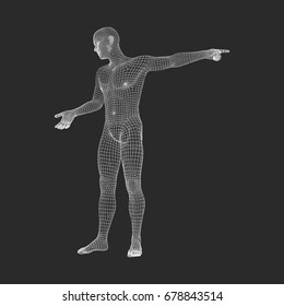 Hombre Apuntando su Dedo. Modelo 3D de hombre. Ilustración vectorial. 