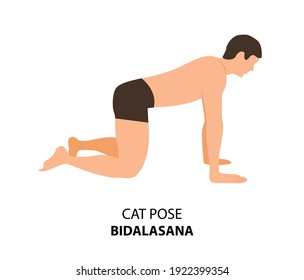 Man practicing yoga isolated on white background. Man doing yoga. Man standing in Cat Pose or Marjaryasana, Vector Illustration. Yoga pose symbol