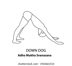 Man practicing yoga line icon isolated on white background. Man doing yoga pose. Man standing in Adho Mukha Shvanasana, Down Dog Pose, Downward-facing Dog Pose, or Adho Mukha Shvanasana  outline icon