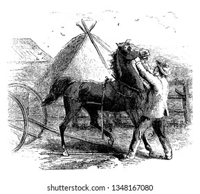 A man putting bridle on a horse, tent in background, vintage line drawing or engraving illustration