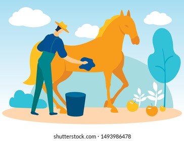 Man With Rag in Hand Washes Rudy Horse. Horses at Farm. Equestrian Sport. Man Caring for Horse. Vector Illustration. People on Farm. Farm Products. Farner Brush Horse on Field. Sunny Day.