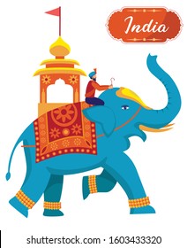 man riding royal indian elephant vector illustration