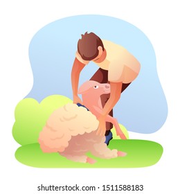 Man shearing sheep flat vector illustration. Young farmer using clippers to cut wool. Male shearer standing near merino lamb, ewe. Eco, green fleece production. Farming, agriculture in rural area