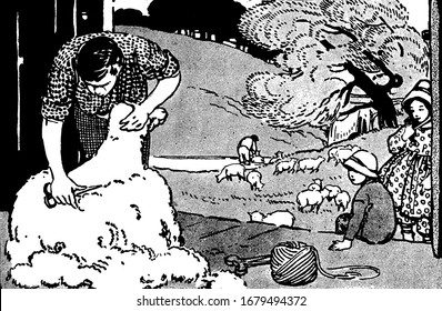 A man shearing sheep with seizer, two children sitting near him, group of sheep and trees in background, vintage line drawing or engraving illustration