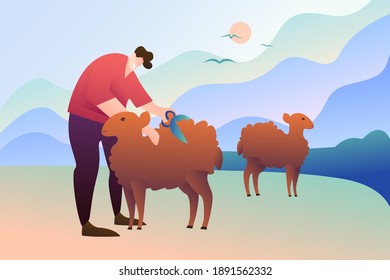 A man with sheep in the field collects wool with scissors. Cattle hair shearing, modern flat design. Farmer with animal’s outdoors.