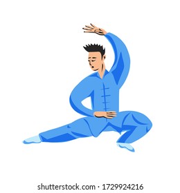 A man shows performing a kung fu wushu stand isolated on a white background. Vector illustration.