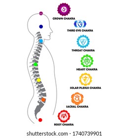 Man silhouette with active shining chakras isolated on the white background vector illustration