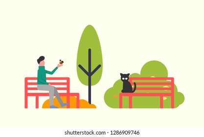 Man sitting on bench and holding bird in hands. Black cat on wooden seat in park. Autumn landscape, green trees, vector in flat design isolated