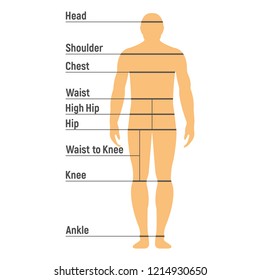 Man Size Chart. Human front side Silhouette. Isolated on White Background. Vector illustration.
