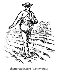 A man sowing seeds in field, vintage line drawing or engraving illustration