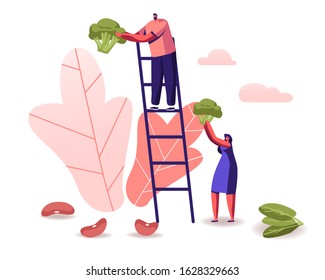 Man Stand on Ladder, Woman Holding Huge Broccoli Piece, Beans and Spinach Scattered around. Healthy Nutrition, Vitamins and Ketogenic Diet Concept. Low Carbs Eating. Cartoon Flat Vector Illustration