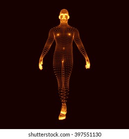 Man Stands on his Feet. 3D Model of Man. Human Body Model. Body Scanning. View of Human Body. Vector Graphics Composed of Particles.