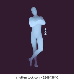 El hombre se pone de pie. Hombre Cruzando Sus Brazos Sobre Su Pecho. Modelo De Cuerpo Humano 3D. Elemento de diseño. Ilustración vectorial.