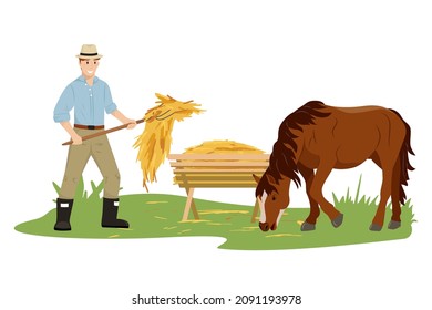 The man takes care of his beloved horse, gives them hay. Horse eat hay at the farm. Country pet. Agricultural work. Isolated character on a white background. Vector illustration in flat style