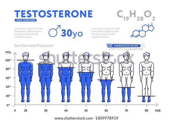 Man Testosterone Hormone Levels By Age Male Sex Hormone Production Infographic Chart With Human