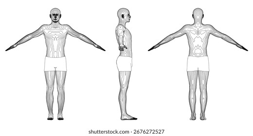 A man in three poses with outstretched arms, black and white contour drawing against white background, anatomical muscle detail on the right side.