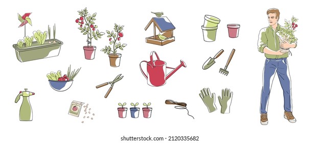 Man with tomato plant in pot and set elements about growing vegetables on balcony,gloves, garden tools, watering can, pots, plants in a container, linear illustration with colour shapes.