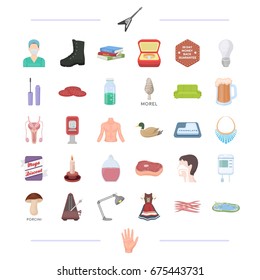 man, tool, medicine and other web icon in cartoon style. decoration, food, lighting icons in set collection.