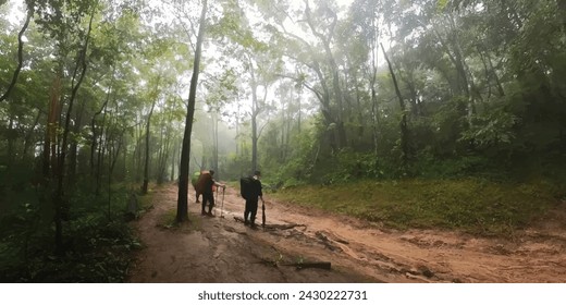 man tracking on tracking way in the forest with fog