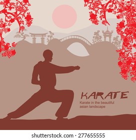 man training karate 