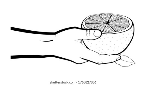 man treats friend with half ripe juicy orange. Summer fruits and vitamins. Sweet treat for children. Isolated vector on white background