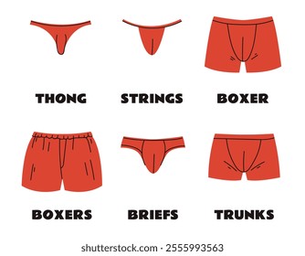 Man underwear types wearing on body model. Underpants infographic isolated on white background set. Doodle line art style concept set. Vector cartoon graphic design element illustration