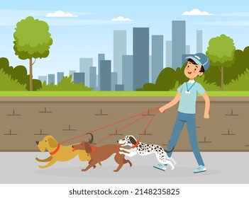 Man Volunteer Walking Dogs on Leash in the Park Vector Illustration
