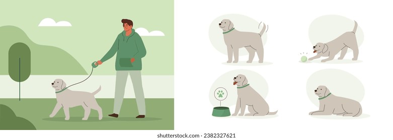 
Man walking with dog outside. Cute retriever daily activity, different emotions and behavior set. Puppy chasing a ball, lying, asking for food. Pet care concept. Flat vector illustration 
