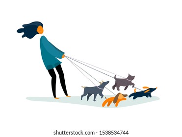 Man walking a many dogs. Flat funny illustration - woman with running puppies. Vector isolated on white background.