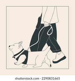 A man walks a dog on a leash. Cute corgi on a walk. Dog show or dog walking in the city or in the park. Vector flat contour graphics.