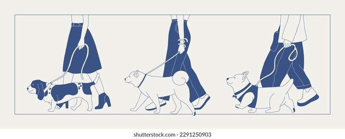 A man walks a dog on a leash. Different breeds of dogs on a walk. Dog show or dog walking in the city or in the park. Vector flat contour graphics.