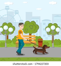 A man walks in the Park with a Dachshund dog on a leash, flat style, clipart, design, decoration, banner, logo