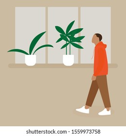 A man walks past a window with plants