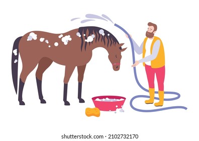 Man washing brown horse with water hose flat icon vector illustration