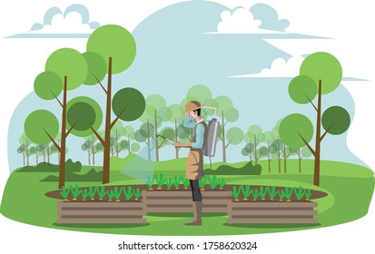 A man watering insecticide liquid to the plants