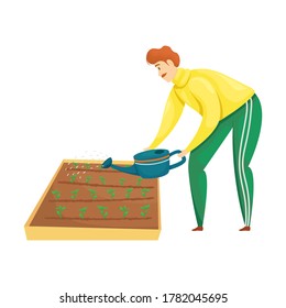 A man is watering the plantings on the beds from a watering can. Planting, growing vegetables. The care of the garden. 