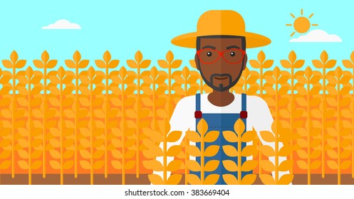 Hombre en el campo de trigo.