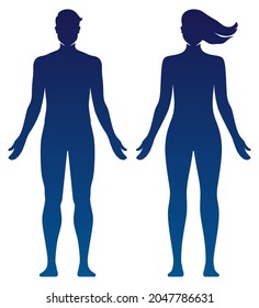 Man Woman Body Silhouette Vector Illustration Stock Vector (Royalty ...