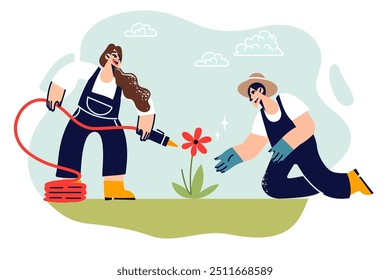 Man and woman are engaged in planting and watering flowers on plantation to make or sell bouquets. Happy couple cultivates flowers in attempt to restore population of rare plant species