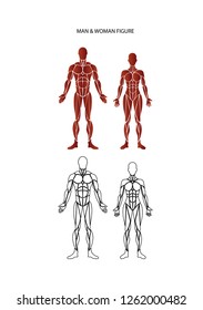 anatomy Images, Stock Photos & Vectors | Shutterstock