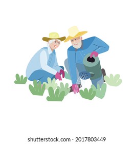 Man and woman in the garden, on the farm and in agriculture. Vector illustration of gardeners. Drawings for poster, background or postcard. People in sun hats. Plants are planted and watered.