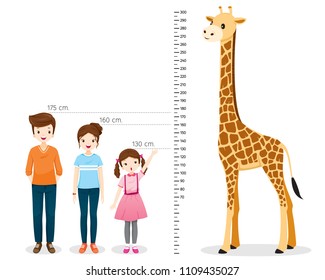 Height scale icons - 13 Free Height scale icons