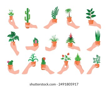 Man and woman hands with potted plant flowers succulent palm tree cactus set vector flat illustration. Male and female arms holding houseplant floral botanical gardening orchid ficus aloe violet