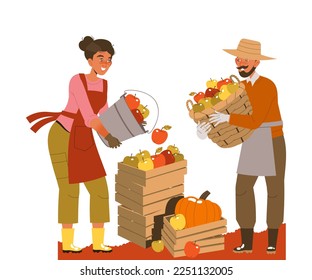 Man and Woman Harvesting Gathering Ripe Apple Fruits in Wooden Crate in the Garden Vector Illustration