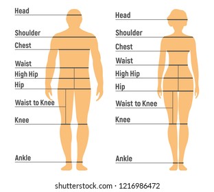 Waist And Hip Size Chart