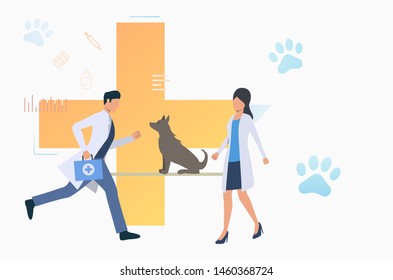Man and woman veterinarians examining dog. Treatment, consultation, animal care concept. Vector illustration can be used for topics like health, vet clinic, veterinary