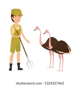 man worker of zoo with ostrich