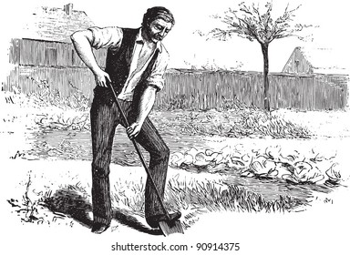 Man working in garden - Vintage illustration from "La petite soeur par Hector Malot" 1882